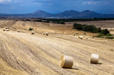 saman balyaları sahada