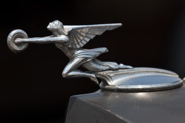1937 packard süper sekiz kukuleta süs