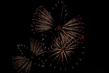 Bağımsızlık günü havai fişek