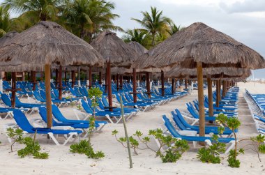 Bir Playa del carmen plaj