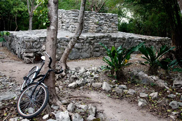 Aniko-Ha ruins, Mexikó — Stock Fotó