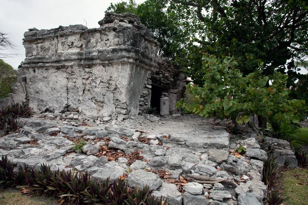 Руины Xaman-Ha в Мексике — стоковое фото