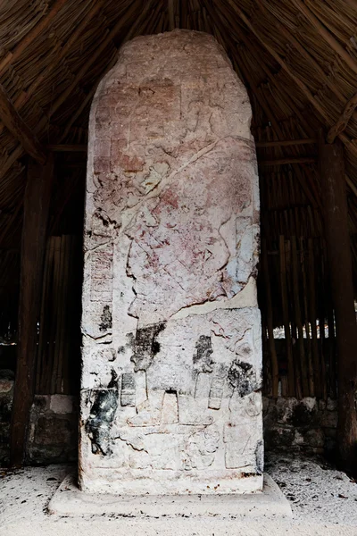 Stele Maya intagliate — Foto Stock