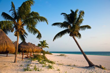 Bir Playa del carmen Meksika beach