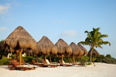 Bir Playa del carmen Meksika beach