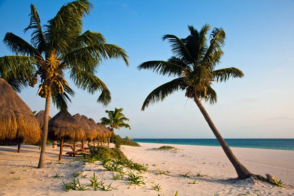 Playa del carmen beach i Mexiko — Stockfoto