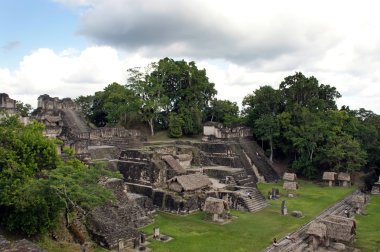 Antik Maya harabelerini tikal Guatemala