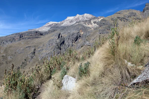 Iztaccihuatl sentiero escursionistico — Foto Stock