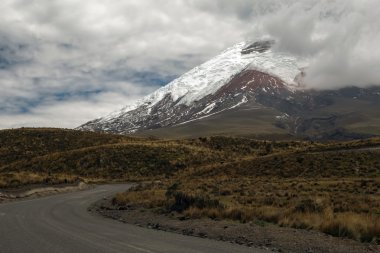 Cotopaxi yanardağ