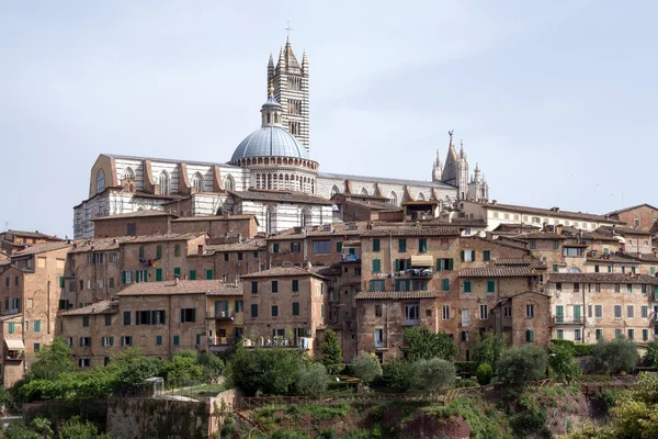 Centro histórico de Siena, Itália foi declarado pela UNESCO um Wo — Fotografia de Stock