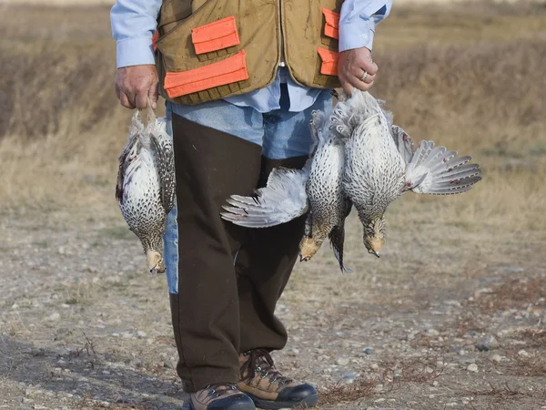 Bird Hunting — Stock Photo, Image