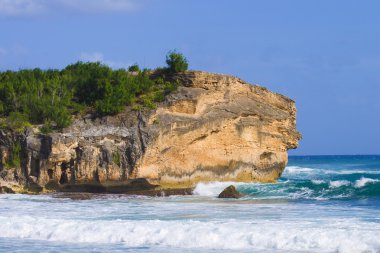kauai Hawaii sahil şeridi