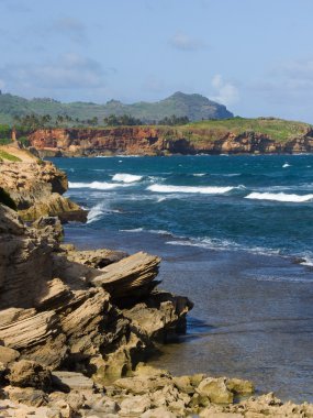 kauai Hawaii sahil şeridi