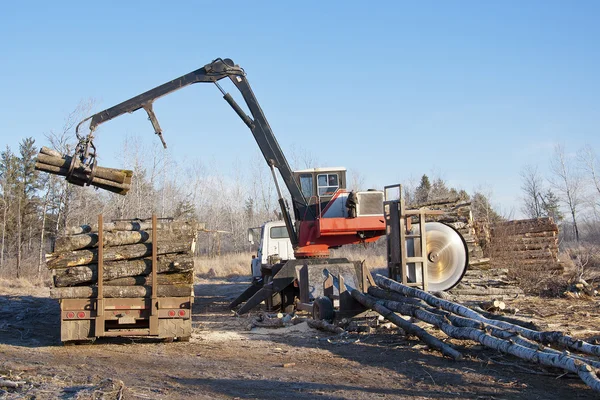 Loading Logs on a truck — Stock Photo, Image