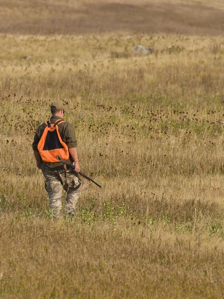 Bird Hunting — Stock Photo, Image