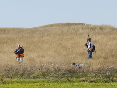 Pheasant Hunting with a pointing dog clipart