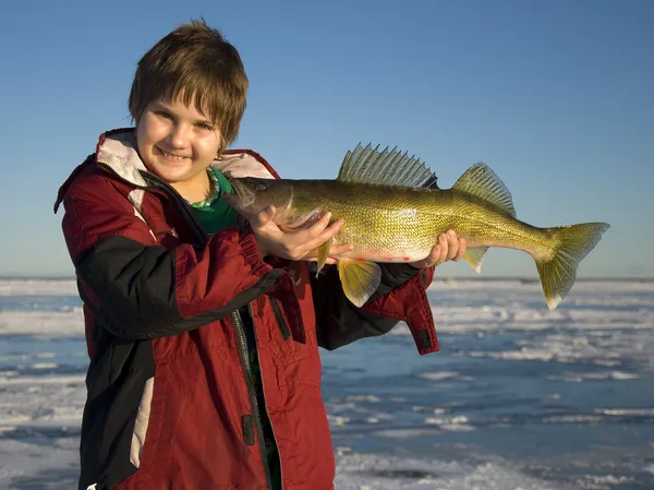 Walleye fiske — Stockfoto