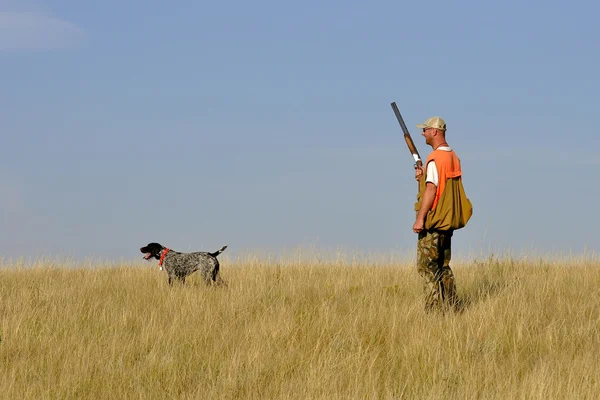 Bird Hunter — Stock Photo, Image