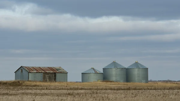 Grain Bins — Stock Photo, Image