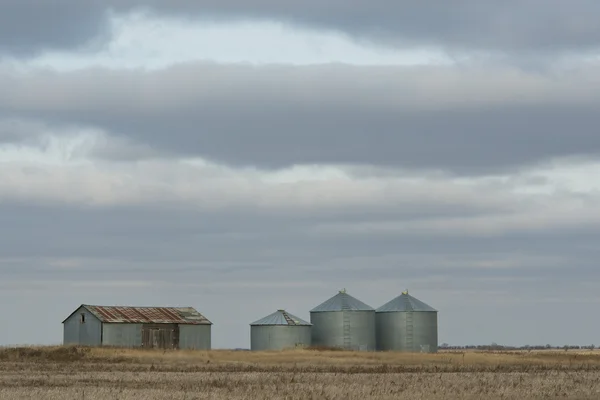 Grain Bins — Stock Photo, Image