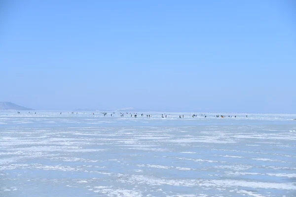 Harbor in ice — Stock Photo, Image