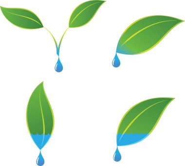 Yeşil Eko su ve bitki logo kavramları