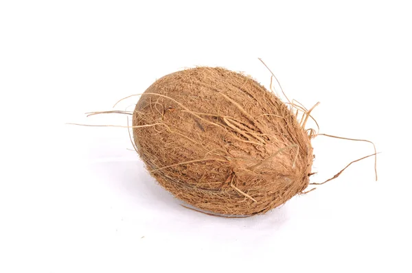 Coconut exotic tropical fruit nut palm fruits   two coconut — 스톡 사진