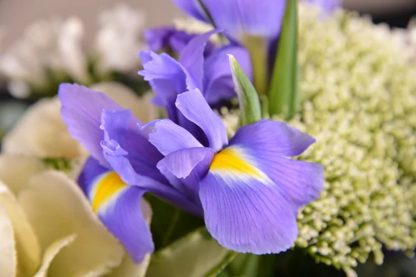 Iris bukett blommor — Stockfoto