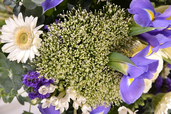 Strauß Hamelatsium brasika Chrysantheme — Stockfoto