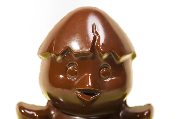 Chocolade kip — Stockfoto