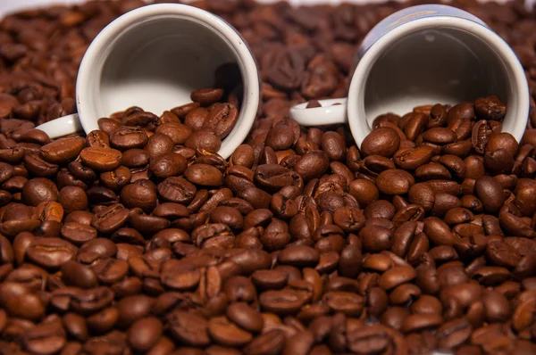 Tazza di chicchi di caffè — Foto Stock