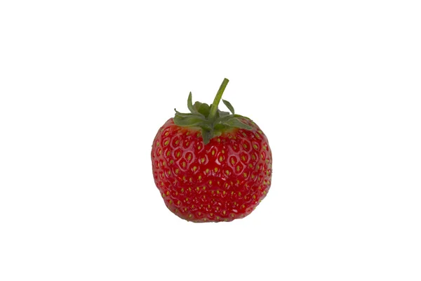 Fragola — Foto Stock