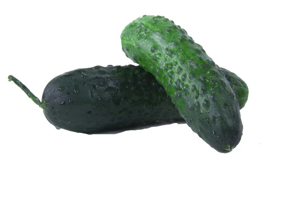 Green Cucumber — Stock Photo, Image