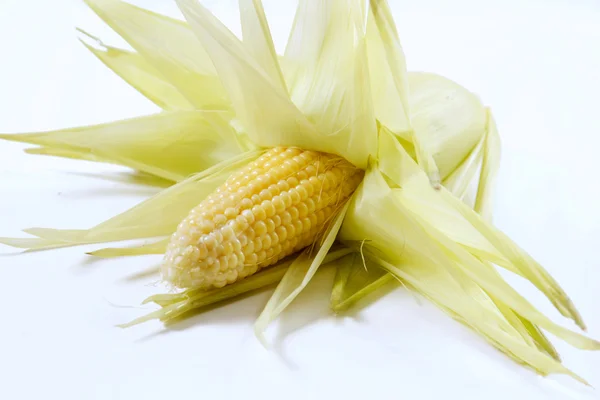 玉米 (玉米) — 图库照片