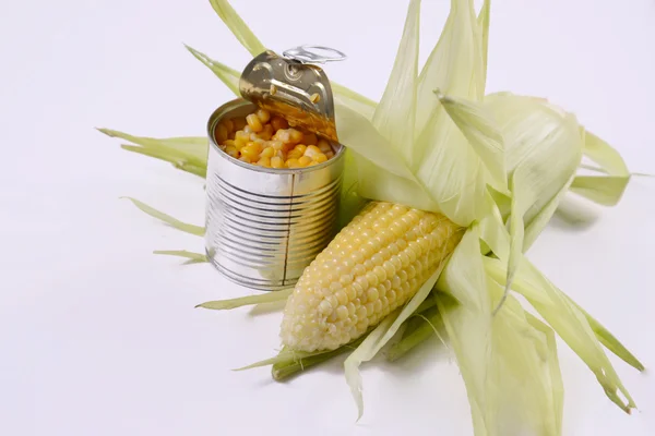 Corn — Stock Photo, Image