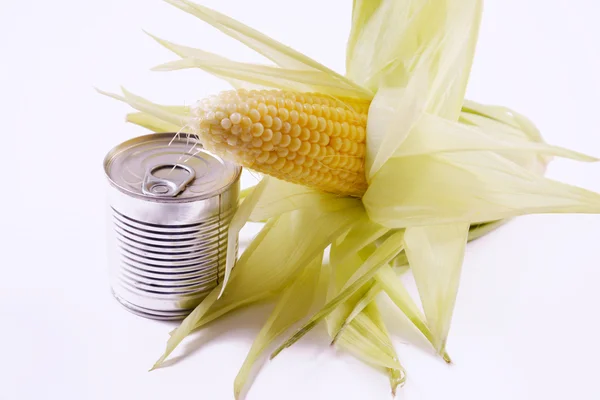 Corn — Stock Photo, Image