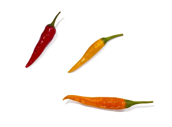 Chili peper — Stockfoto