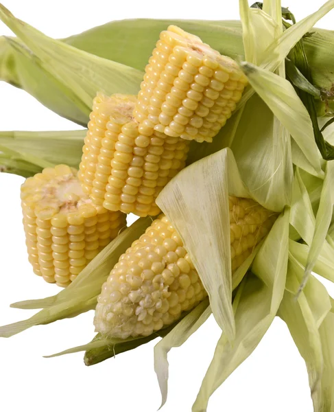 Corn — Stock Photo, Image