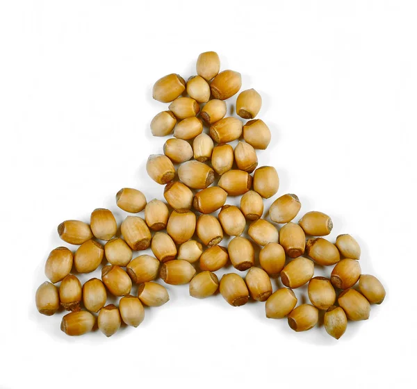 Hazelnuts — Stock Photo, Image