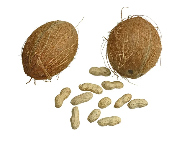 Cacahuètes et cacao — Photo