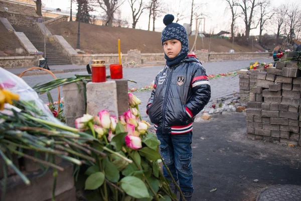 Цветы в память об убитых на Евромайдане. Протесты на Украине — стоковое фото