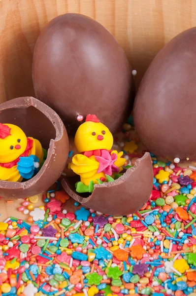 Ovos de chocolate e pintos neles — Fotografia de Stock