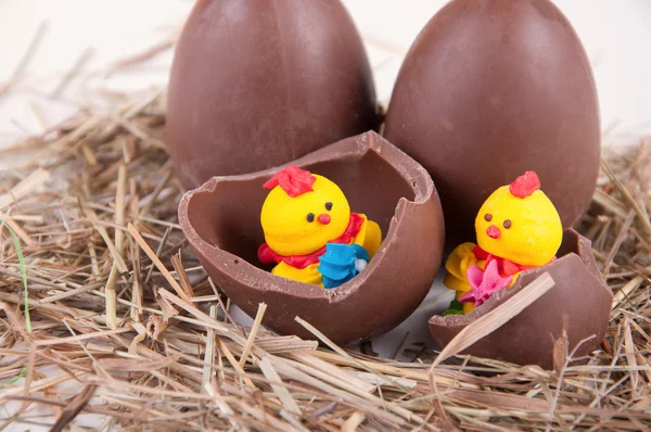 Choklad ägg och kycklingar i dem — Stockfoto