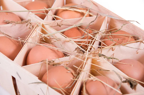 Chicken eggs — Stock Photo, Image