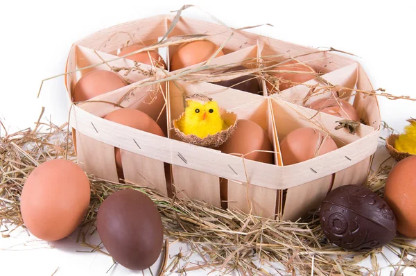 Tavuk, bıldırcın ve çikolata yumurta — Stok fotoğraf