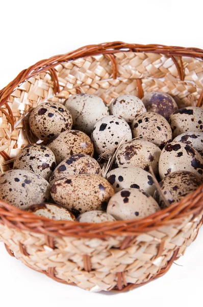 Quail Eggs — Stock Photo, Image