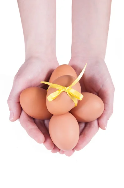 Hands holding eggs — Stock Photo, Image