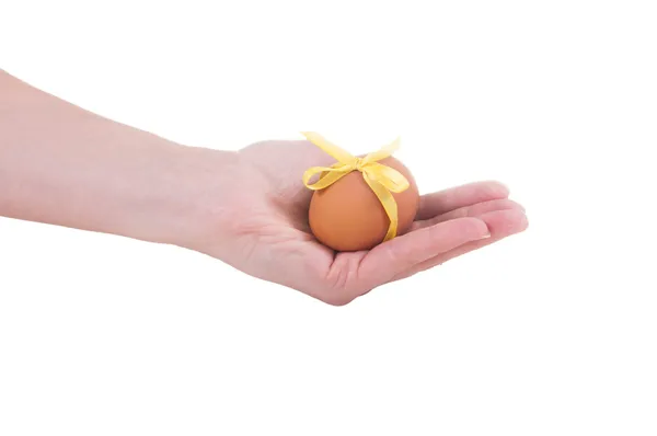 Hands holding eggs — Stock Photo, Image