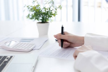 Finans işkadını şirketin kâr ve büyüme, piyasa araştırma raporları ve gelir istatistikleri, Finansal ve Muhasebe kavramı yaratma performansının grafiğini analiz ediyor.