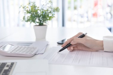 Finans işkadını şirketin kâr ve büyüme, piyasa araştırma raporları ve gelir istatistikleri, Finansal ve Muhasebe kavramı yaratma performansının grafiğini analiz ediyor.